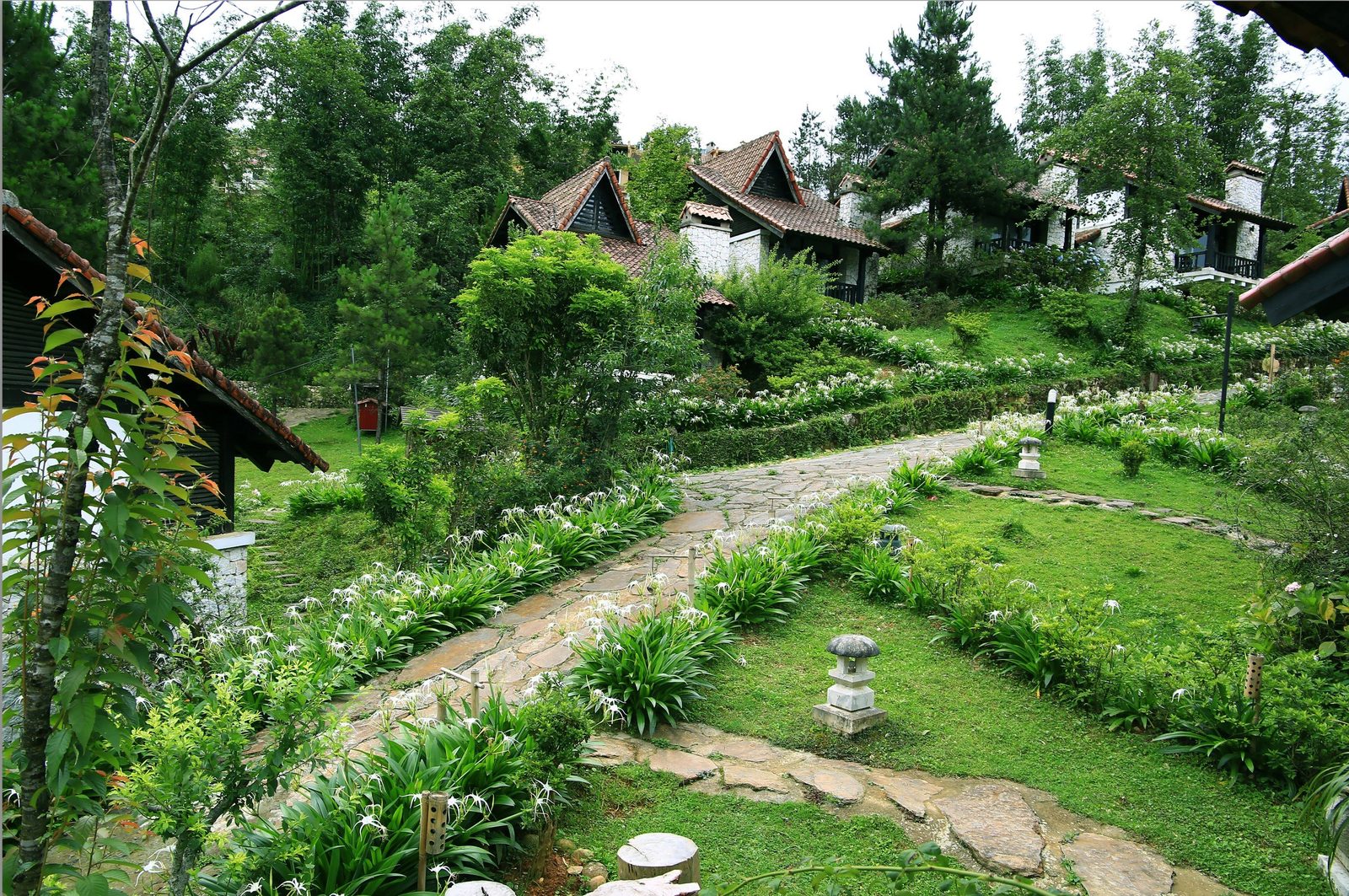 So sánh villa Sapa cho gia đình: 5 tiêu chí chọn căn