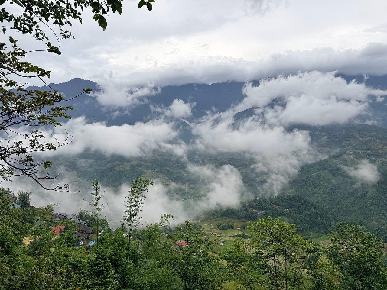 Biển mây trắng tràn qua thung lũng và ruộng bậc thang Sapa